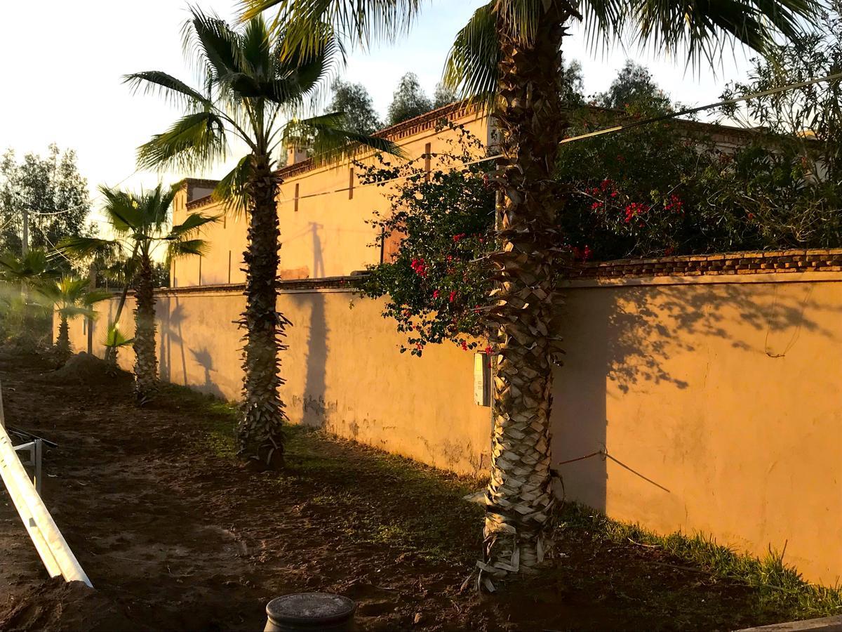 Villa Palais Souad Marrakesh Esterno foto